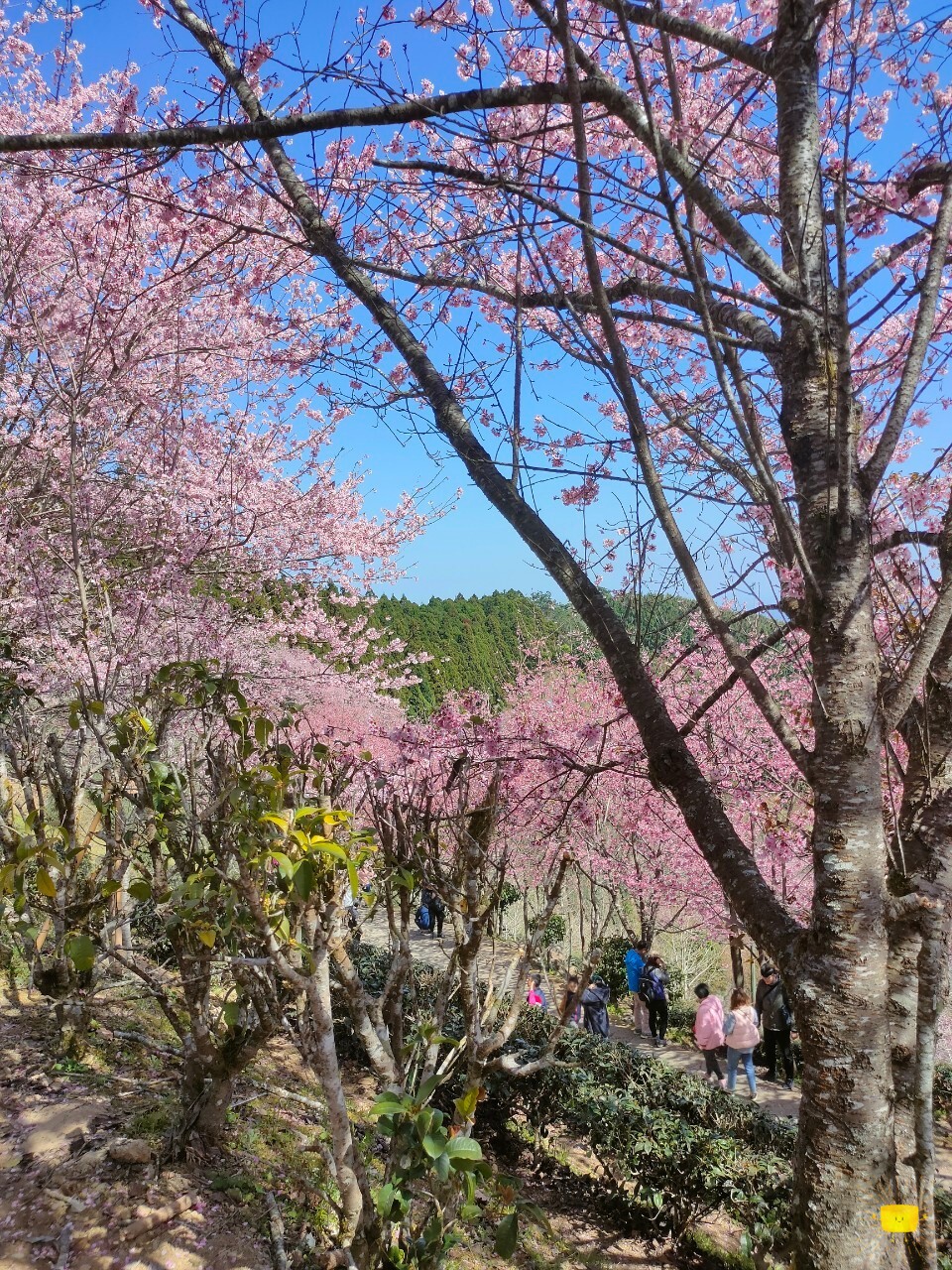 圖片 2